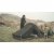 Robens Chaser 2 Tent