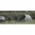 Easy Camp Kinn 4 Tent - Outlet