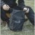 The bag keeps your important belongings dry and clean.