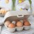 Koziol Egg Case 6 pack