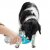 Water bowl and bottle for dogs