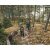 Robens Walking stick Coniston T7