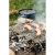 Robens Lassen L is a lightweight and compact grill grate with foldable legs that provide a good pack size.
