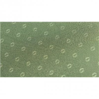 Tältduk Outwell Middleton 8A familjetält.