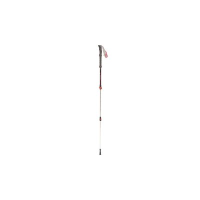 Robens Walking stick Grasmere T7