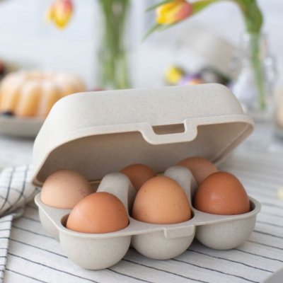 Koziol Egg Case 6 pack